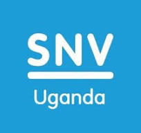 SNV logo